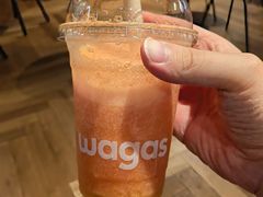 -Wagas沃歌斯(正大乐城店)