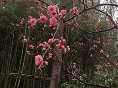 -南京东郊国宾馆
