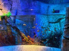 -沈阳海洋探索中心