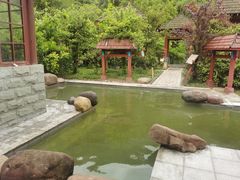-中铁花水湾温泉酒店(大邑店)