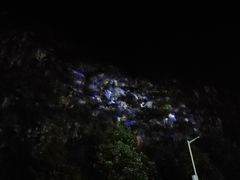 -高荡千年布依古寨旅游景区