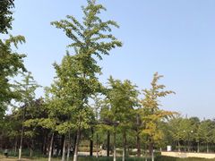 -永定河休闲森林公园