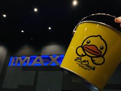 -万达影城(湛江万达广场IMAX店)