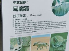 -泉州海丝野生动物世界