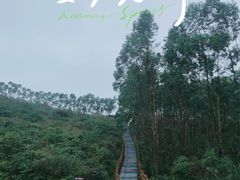 -田园寨农园观光园