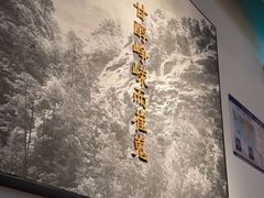 -tea'stone (万象天地店)