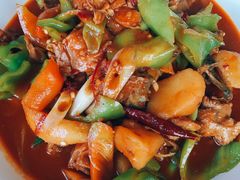 大盘鸡-新疆哈利德餐厅(紫薇都市店)