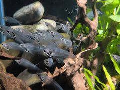 -太平洋海底世界