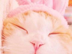 -甜心闲生传统手工冰粉(太古里店)