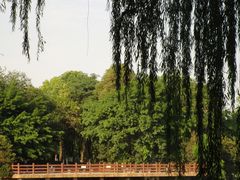 -升仙湖公园