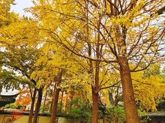 -郑和公园