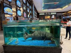 -聚福宝合苑食府(南头镇店)