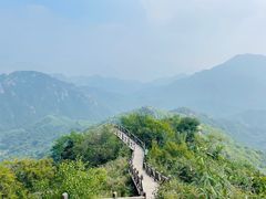 -大岭沟猕猴桃谷风景区