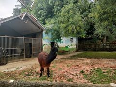 -昆明动物园