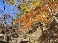 -大连天门山国家森林公园