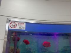 -雅悦齿科(顾村公园店)