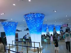 -深海中餐厅(国家海洋博物馆店)