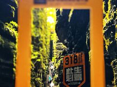 -梭布垭石林景区