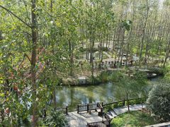 -合肥滨湖国家森林公园