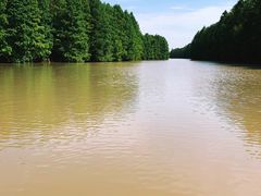 -上海海湾国家森林公园