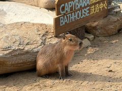-茅山东方盐湖城景区