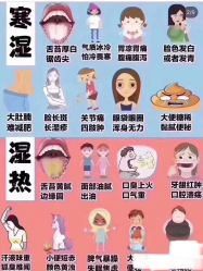 -香薇妮丝·定制减肥·身材管理