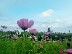 -漩门湾国家湿地公园