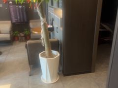 -鹿栖.精油SPA(金山世纪城店)