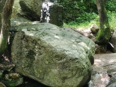 -王顺山国家森林公园