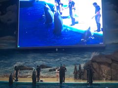 -福州罗源湾海洋世界旅游区