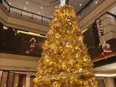 -深圳星河丽思卡尔顿酒店