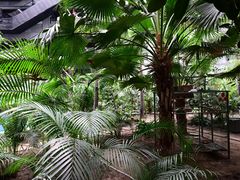 -黑龙江中医药大学附属第一医院