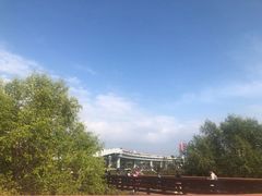 -宝安西湾红树林湿地公园