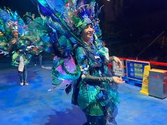 -广州长隆国际大马戏