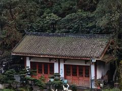 -南山植物园
