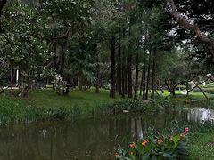 -人民公园(罗湖区)