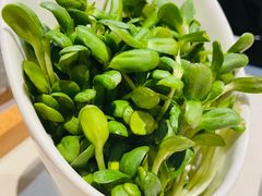 -浩爷羊蝎子火锅(望京店)