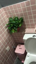 -Priscilla皮肤管理中心