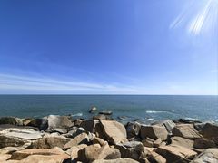 -广东惠东海龟国家级自然保护区