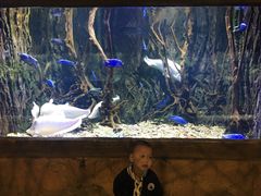 -华夏文旅海洋公园