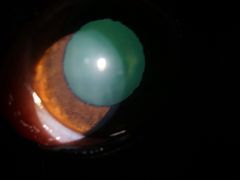 -爱侣宠医·鹦鹉专科·小型哺乳类·异宠专科(灵石路店)