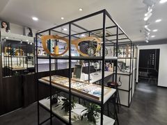 -大视家眼镜(园区星海店)