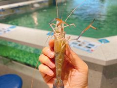 -嘻虾·钓虾工场(东莞总店)