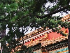 -北京市劳动人民文化宫(太庙)