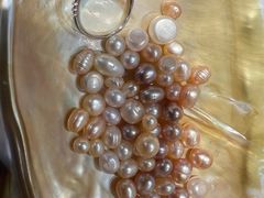 -十八字金·银饰·开蚌DIY·手工体验团建(世纪金源店)