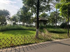 -海珠湖公园