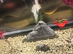 -华夏良子·足道SPA艾灸(胜利路店)