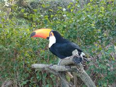 -泉州海丝野生动物世界