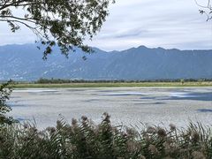 -野鸭湖国家湿地公园