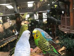 -南宫五洲植物乐园